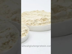 غلوتين القمح الحيوي، غلوتين القمح، الغلوتين